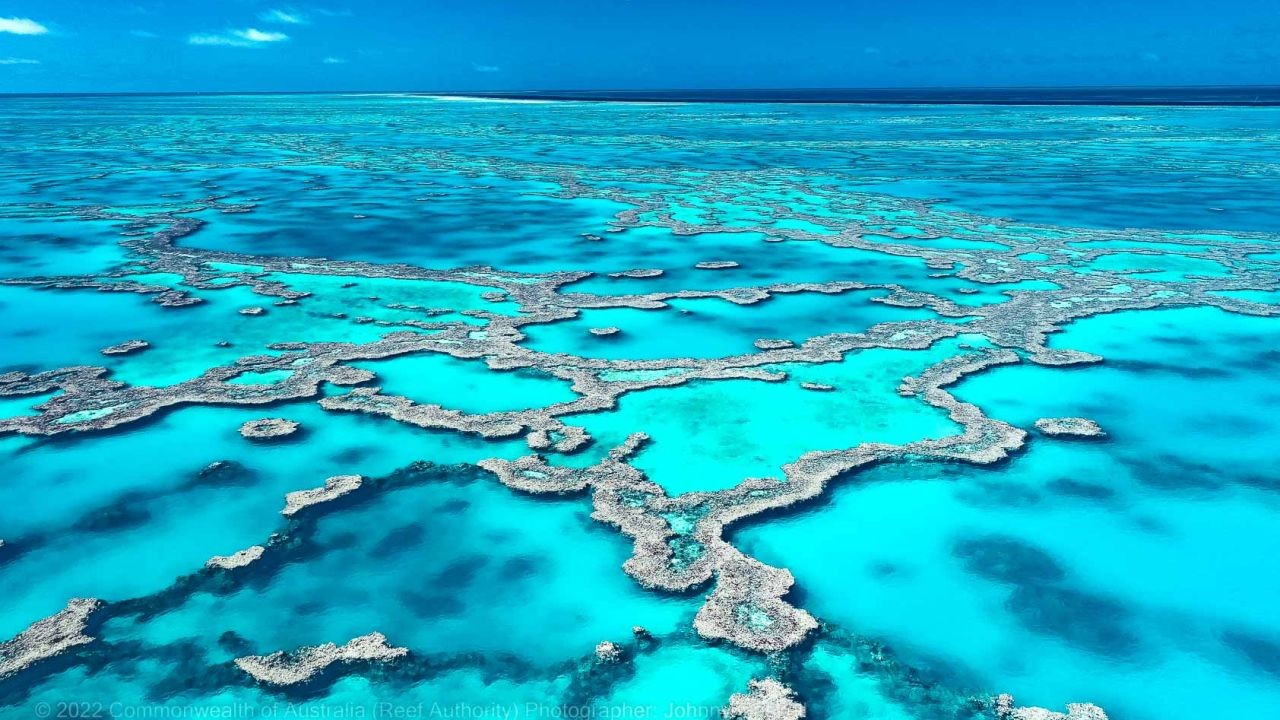 7 Reasons Why Australia Must Do More to Protect the Great Barrier Reef – The Smart Way to Make It Work Down Under