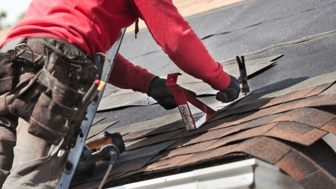 Roof Repair and Replacement Tips for New Zealand Homes