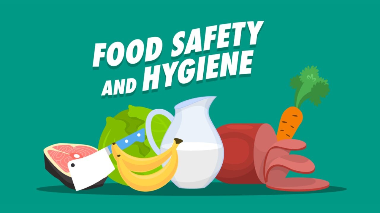How Safety and Hygiene Video Training Supports Early Childhood Educators in NZ