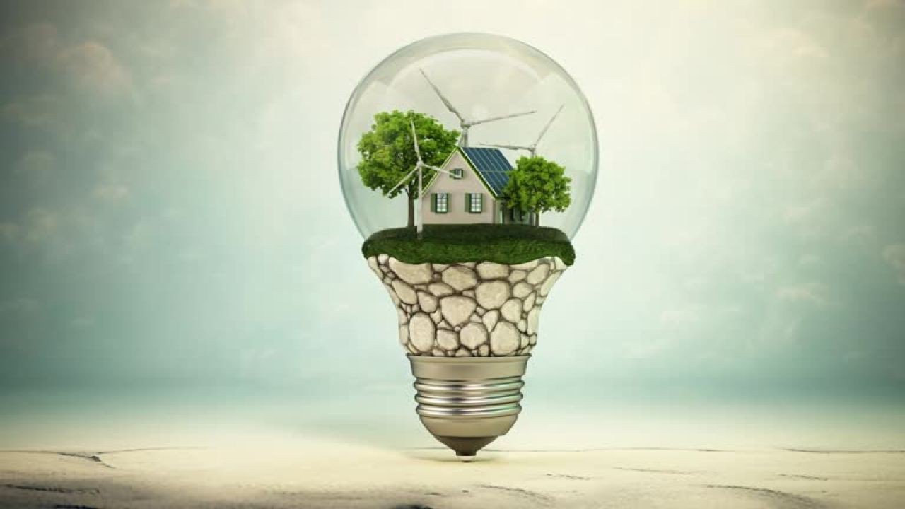 How Eco-Living Videos Promote Sustainable Housing in NZ