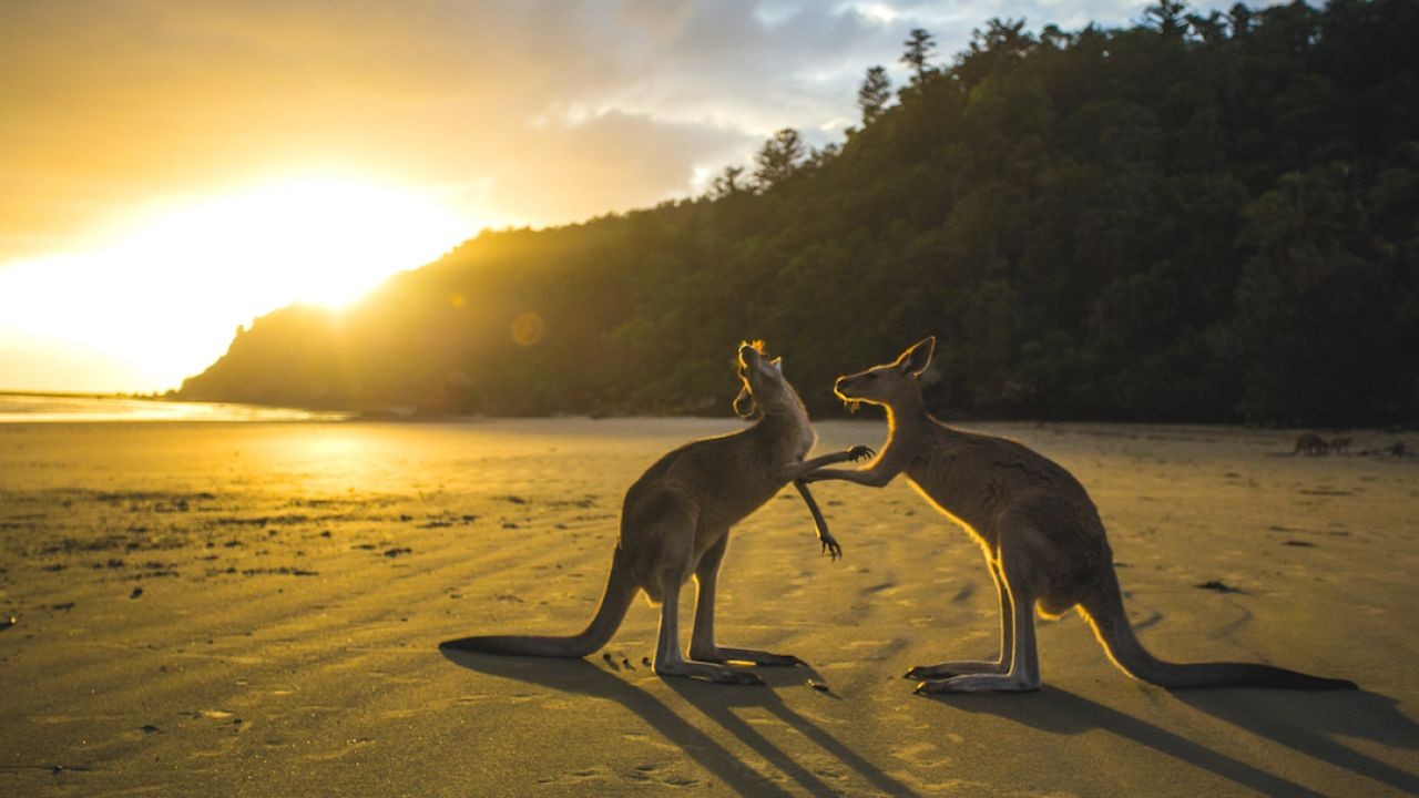 How to Find the Best Hidden Travel Destinations in Australia – Tips from Australian Industry Experts