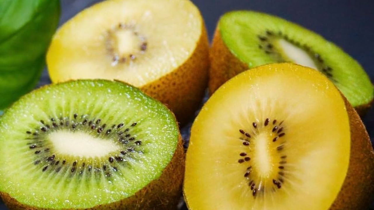 How Seasonal Kiwi Stories Come Alive Through Hospitality Video Campaigns