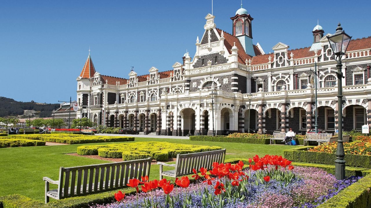 How Dunedin Tourism Videos Highlight Heritage and Wildlife Experiences