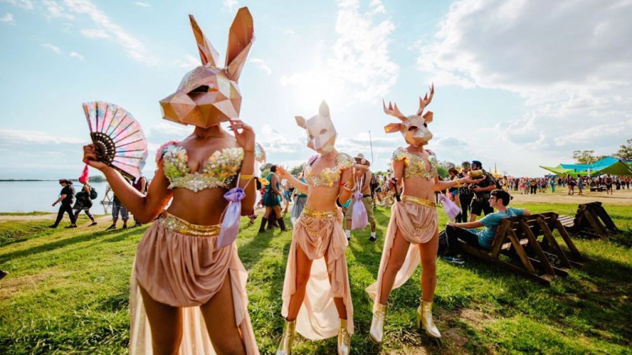 Why NZ Music Festivals Choose New Zealand Video Platform to Reach Fans Nationwide