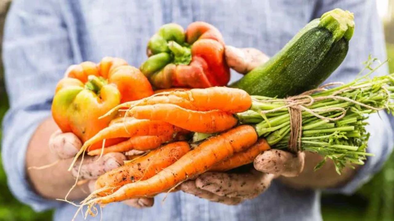 New Zealand Video Platform Puts Regional Food Producers on the Map