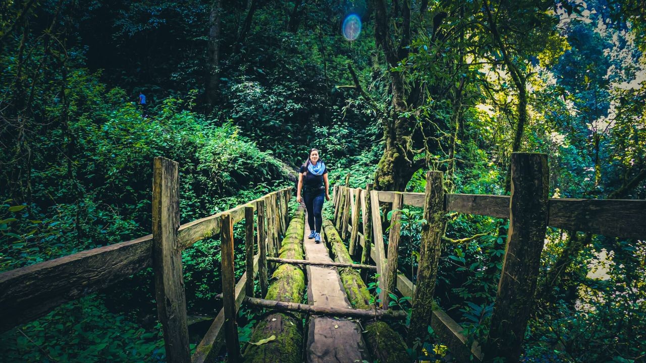 How Regenerative Tourism Videos Promote New Zealand’s Green Future