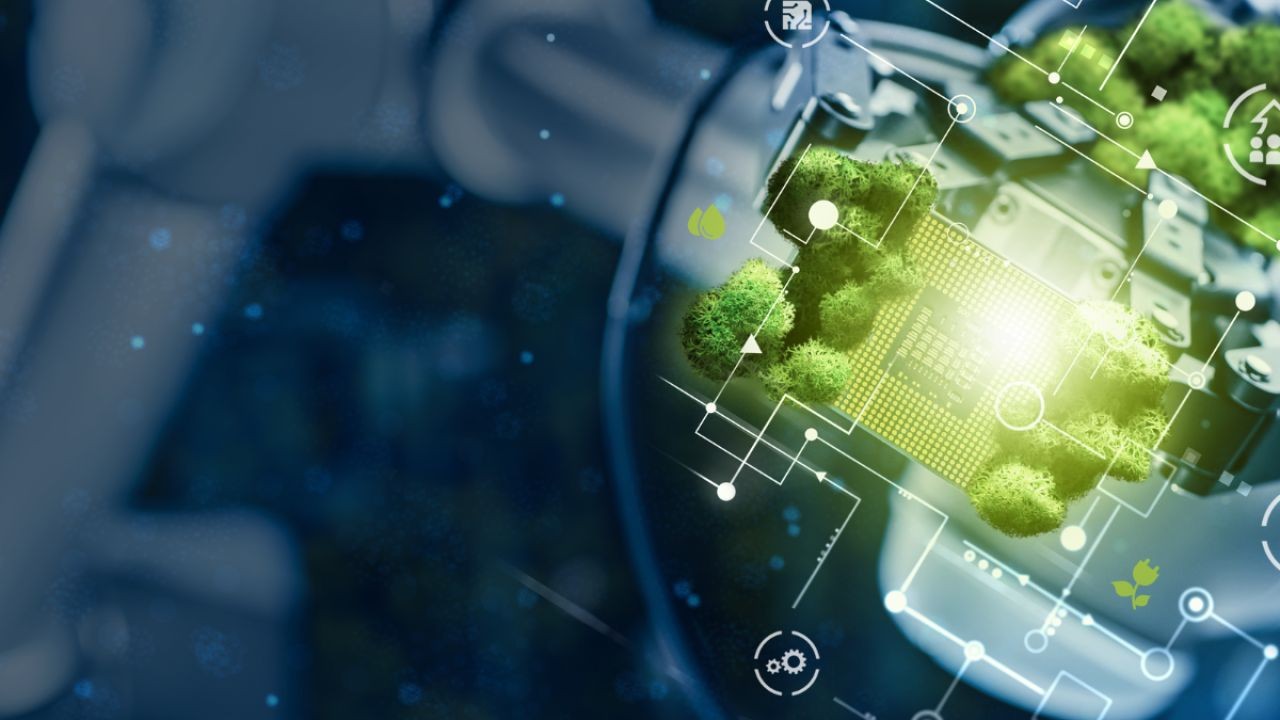 Case Study: How New Zealand’s Sustainability Tech Is Helping the Planet