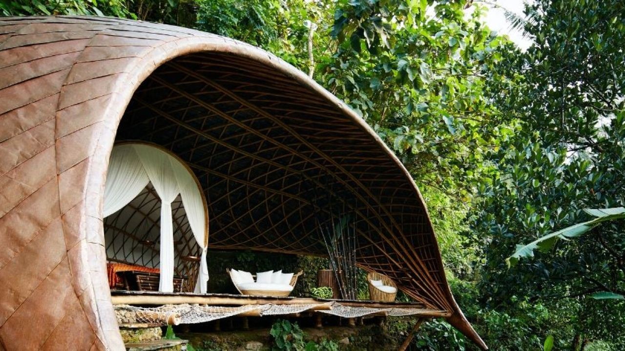 Why Eco-Friendly Hotels and Cafés Are Using Video to Highlight Sustainability Efforts