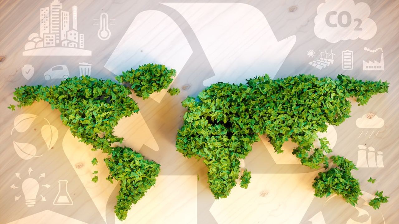 Why Green Certifications Matter in NZ Real Estate Video Campaigns