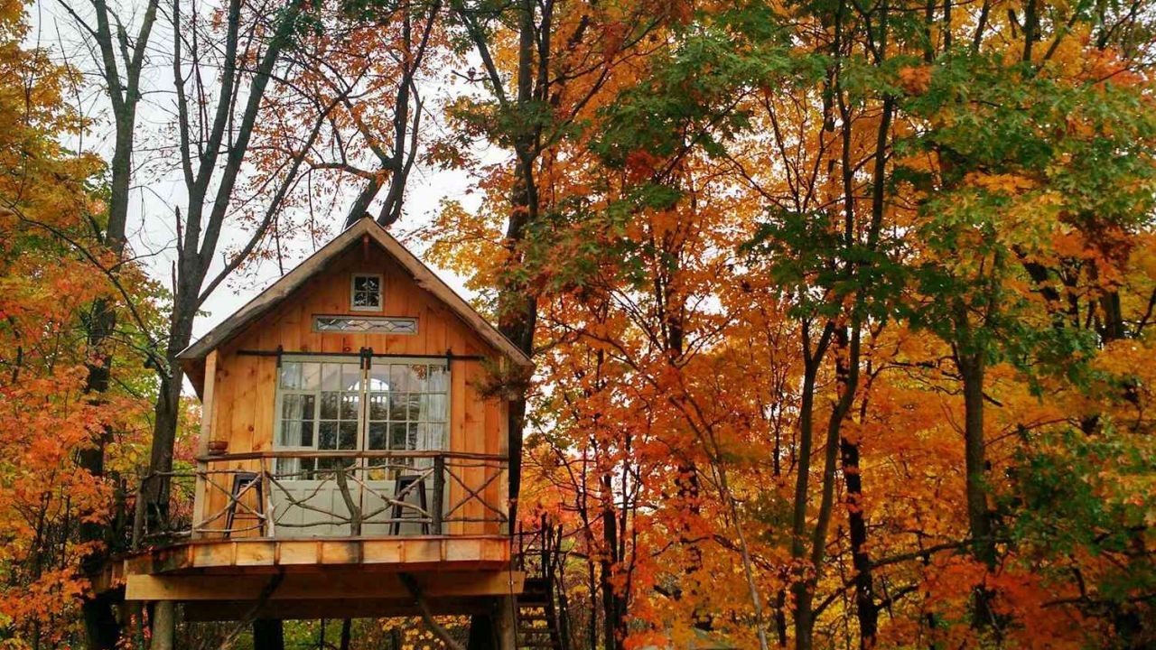 Airbnb and Holiday Rental Video Tours in NZ: Converting Browsers Into Bookings