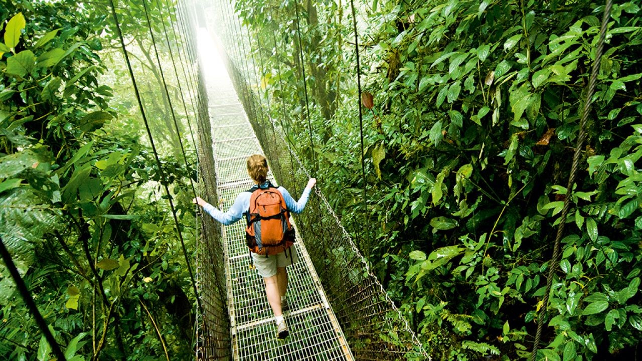 Why Local Councils in NZ Are Investing in Regional Tourism Videos