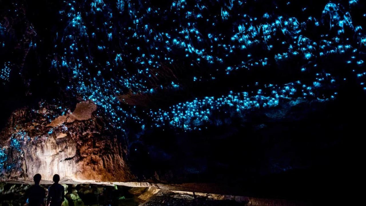 How Glowworm Cave Videos Drive International Tourism to Waitomo