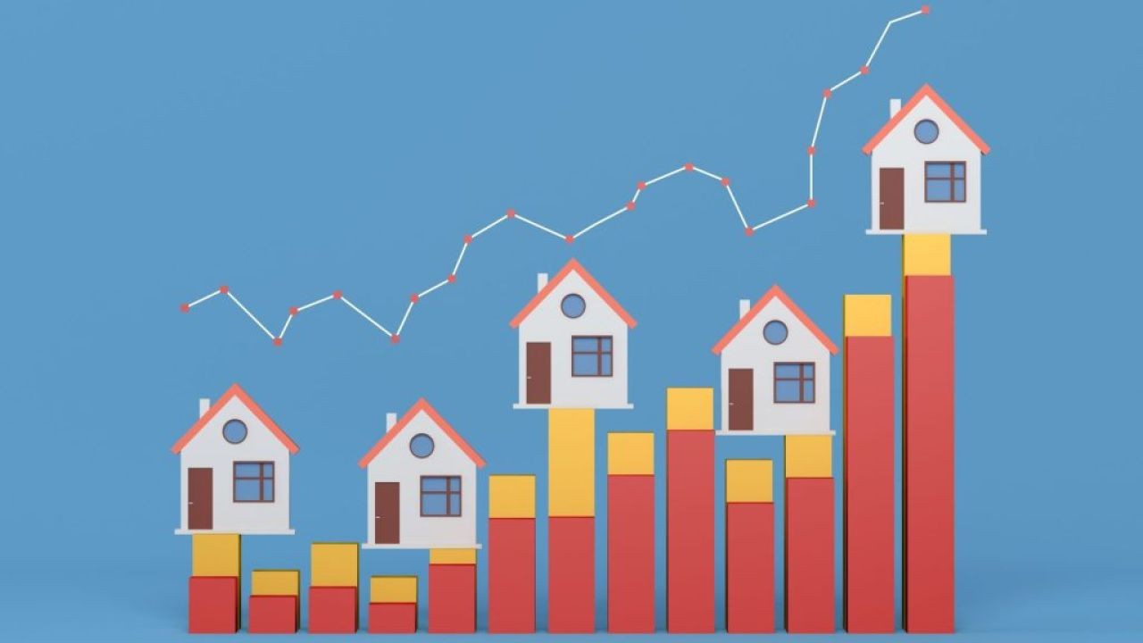 Rental Market Video Insights in NZ: What Landlords Need to Know