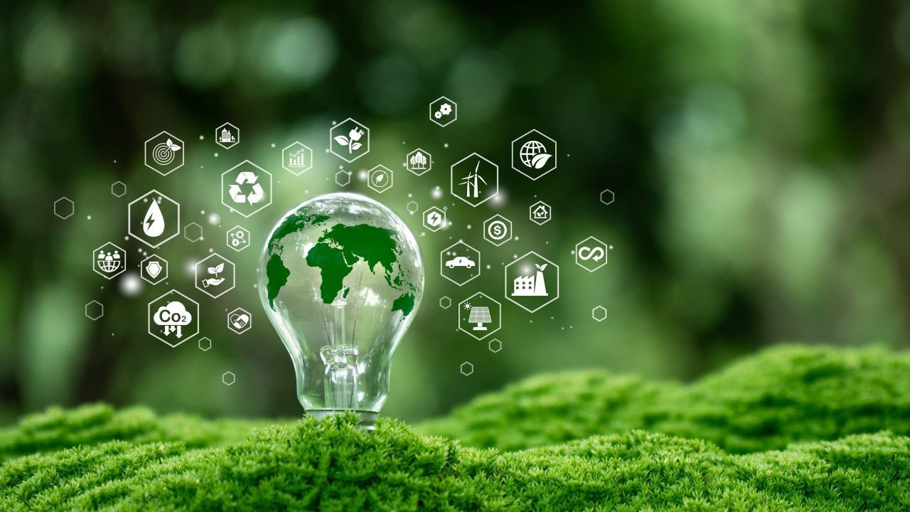 New Zealand Video Platform Showcases Sustainable Business Practices to Kiwi Audiences