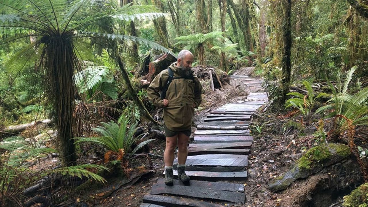 How Great Walk Videos Inspire Travellers to Explore New Zealand Trails