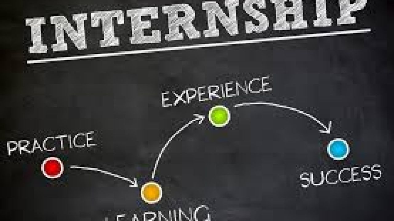 How Internship & Career Pathway Videos Support Kiwi Graduates