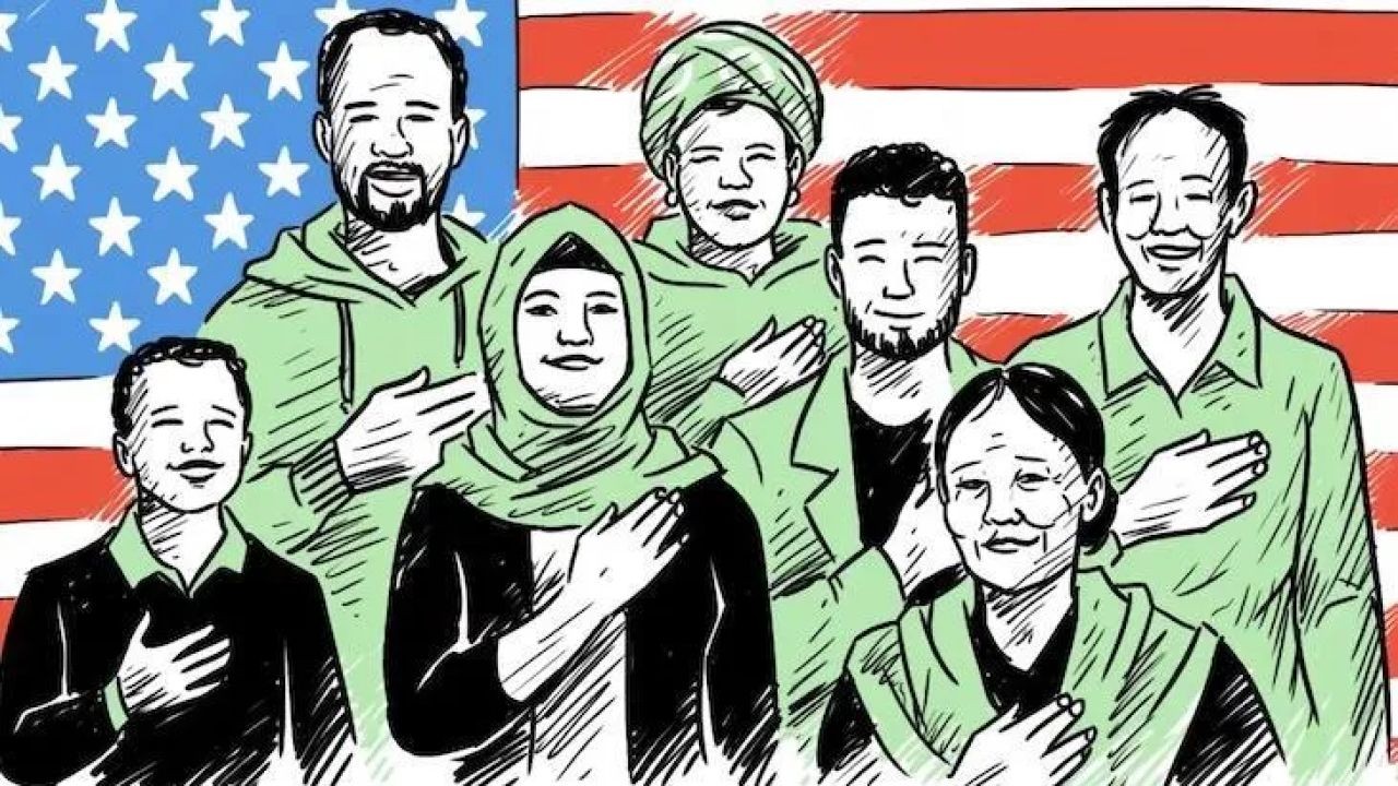 Why Cultural Orientation Videos Improve International Student Experience in Aotearoa