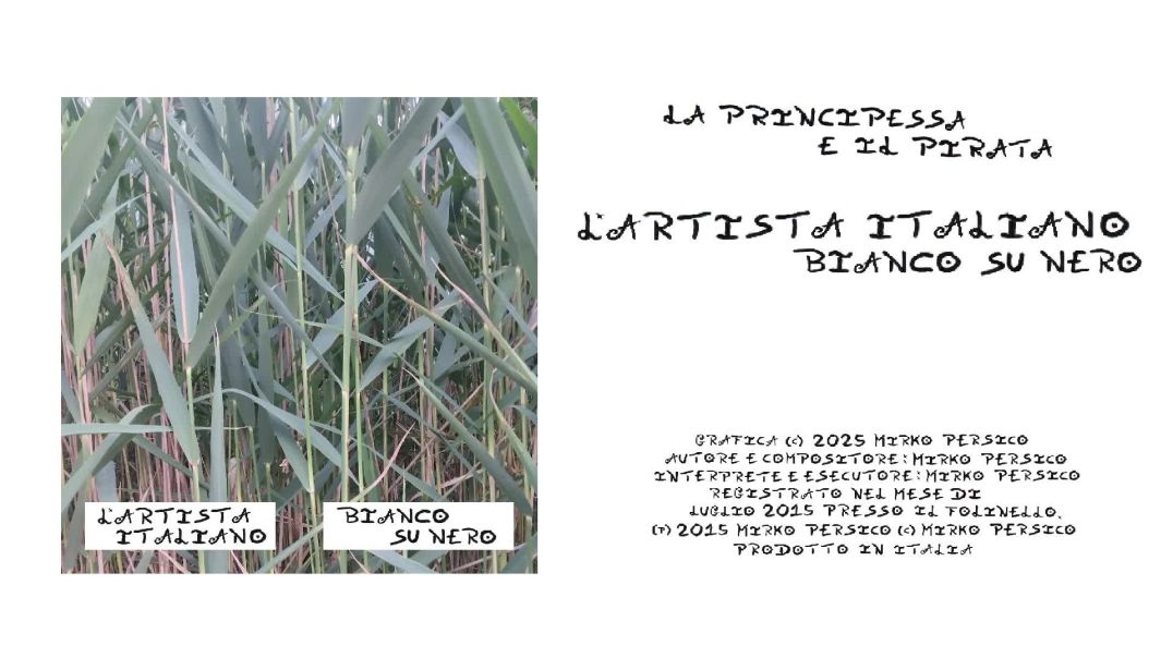 L'Artista Italiano - La Principessa e il Pirata