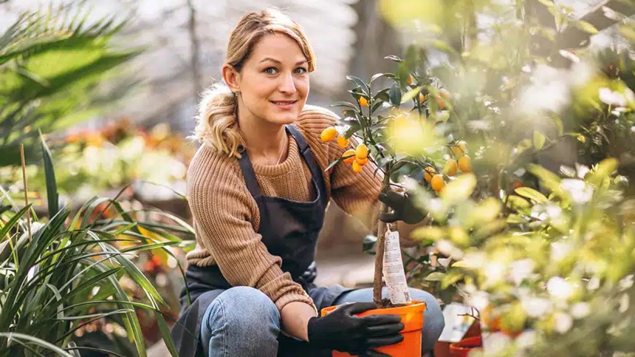 Horticulture Training and Instructional Videos Supporting NZ Growers