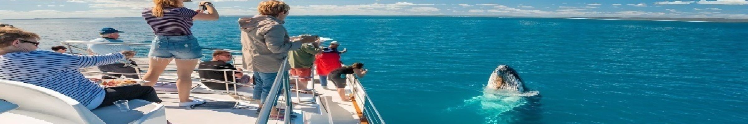 Freedom Ecotours Pty ltd