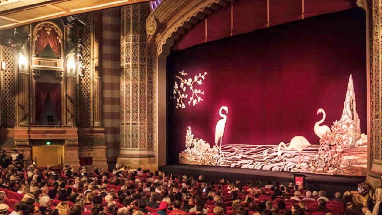 Film Festival Coverage Videos That Attract Australian Audiences