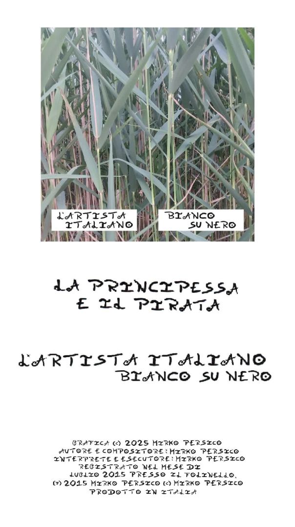 L'Artista Italiano - La Principessa e il Pirata