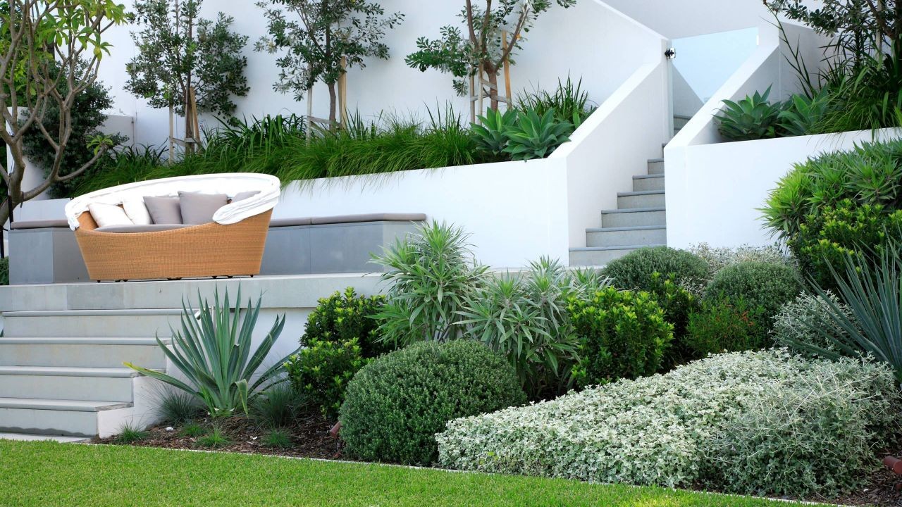 Garden and Landscaping Video Tutorials Showcasing NZ Outdoor Spaces