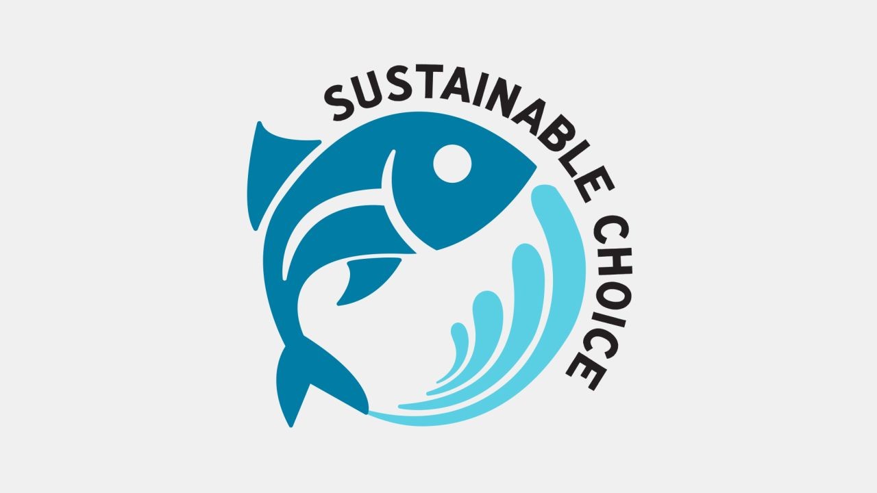 Sustainable Seafood Marketing Videos Promoting Eco-Friendly Practices in NZ