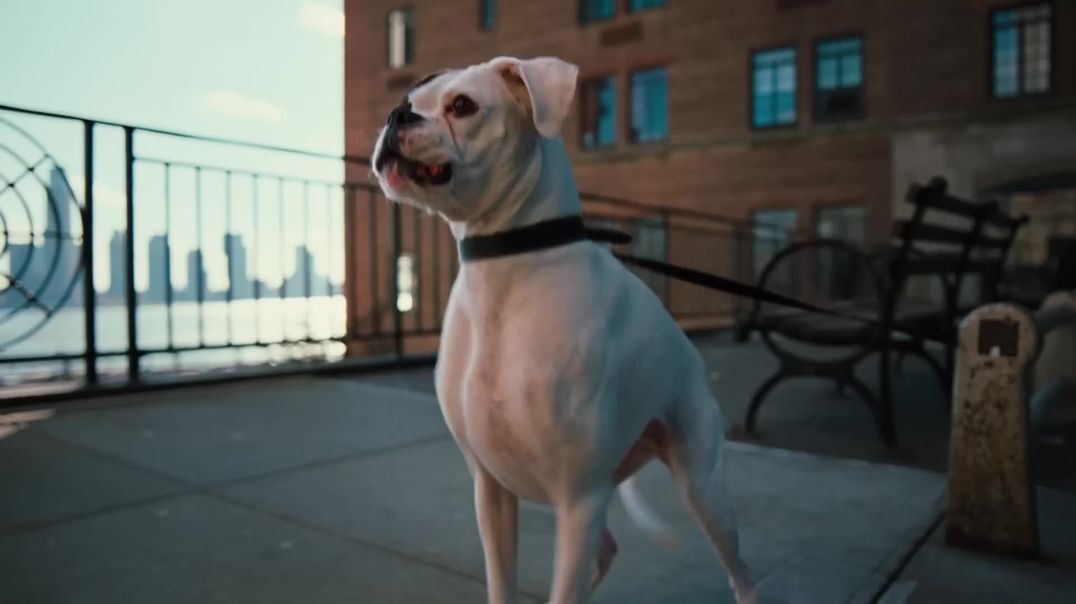 ✨ Scarlett Johansson x Prada Galleria ✨