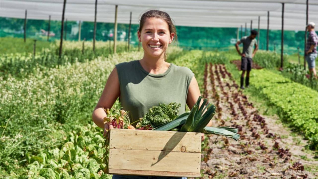 Farm Sustainability Video Campaigns Educating New Zealand Audiences