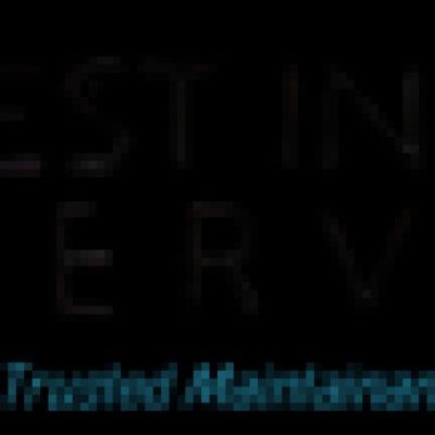 Best in town repair services