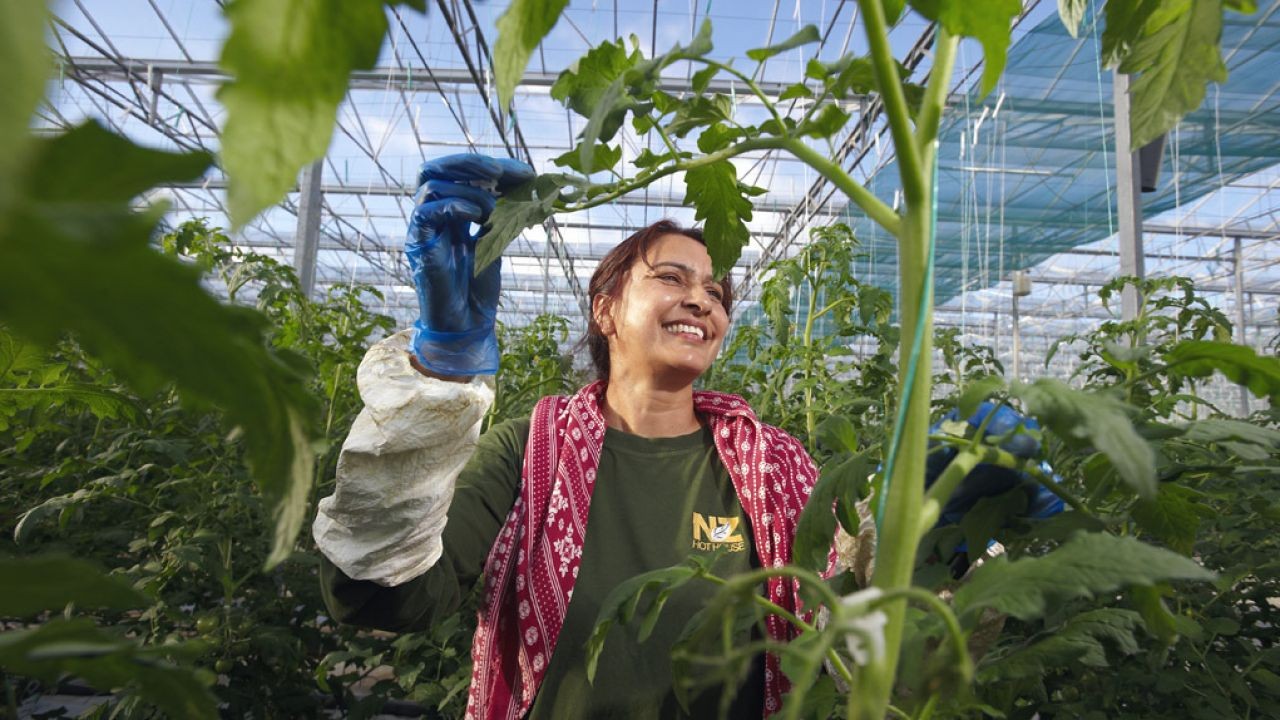 Farmer Testimonial Videos That Build Credibility for Kiwi Brands