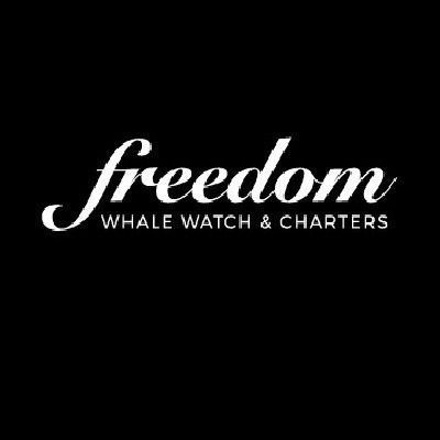 Freedom Ecotours Pty ltd