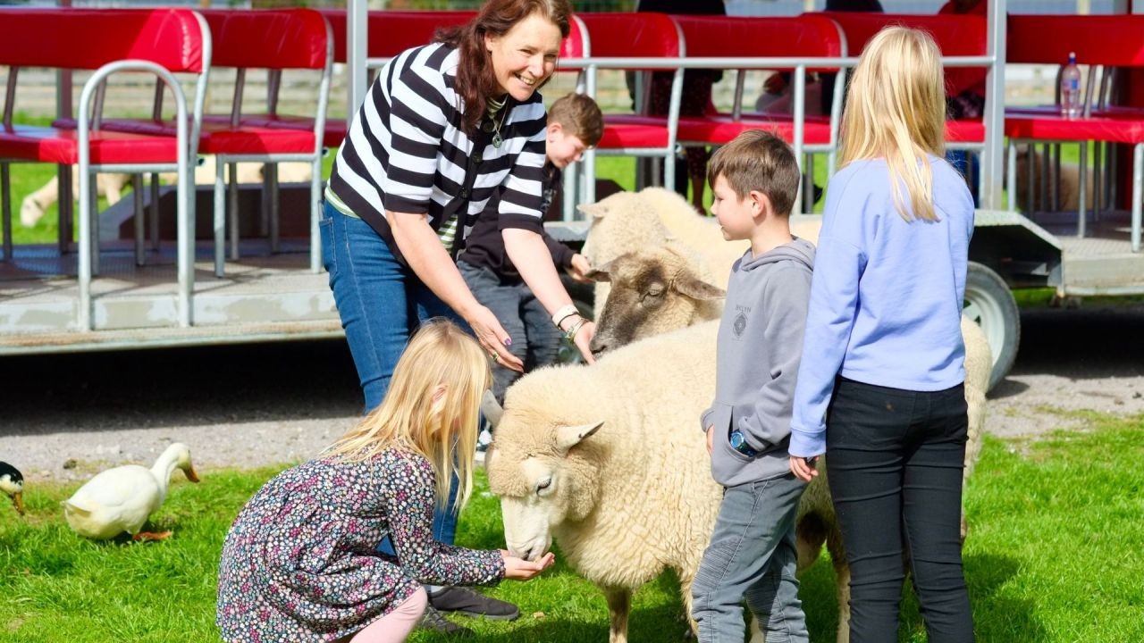 Regional Farm Tour Videos Showcasing Unique NZ Agricultural Experiences