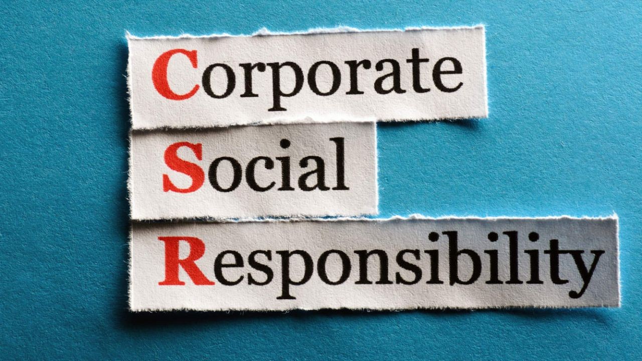 Corporate Social Responsibility Video Stories Enhancing NZ Company Reputation