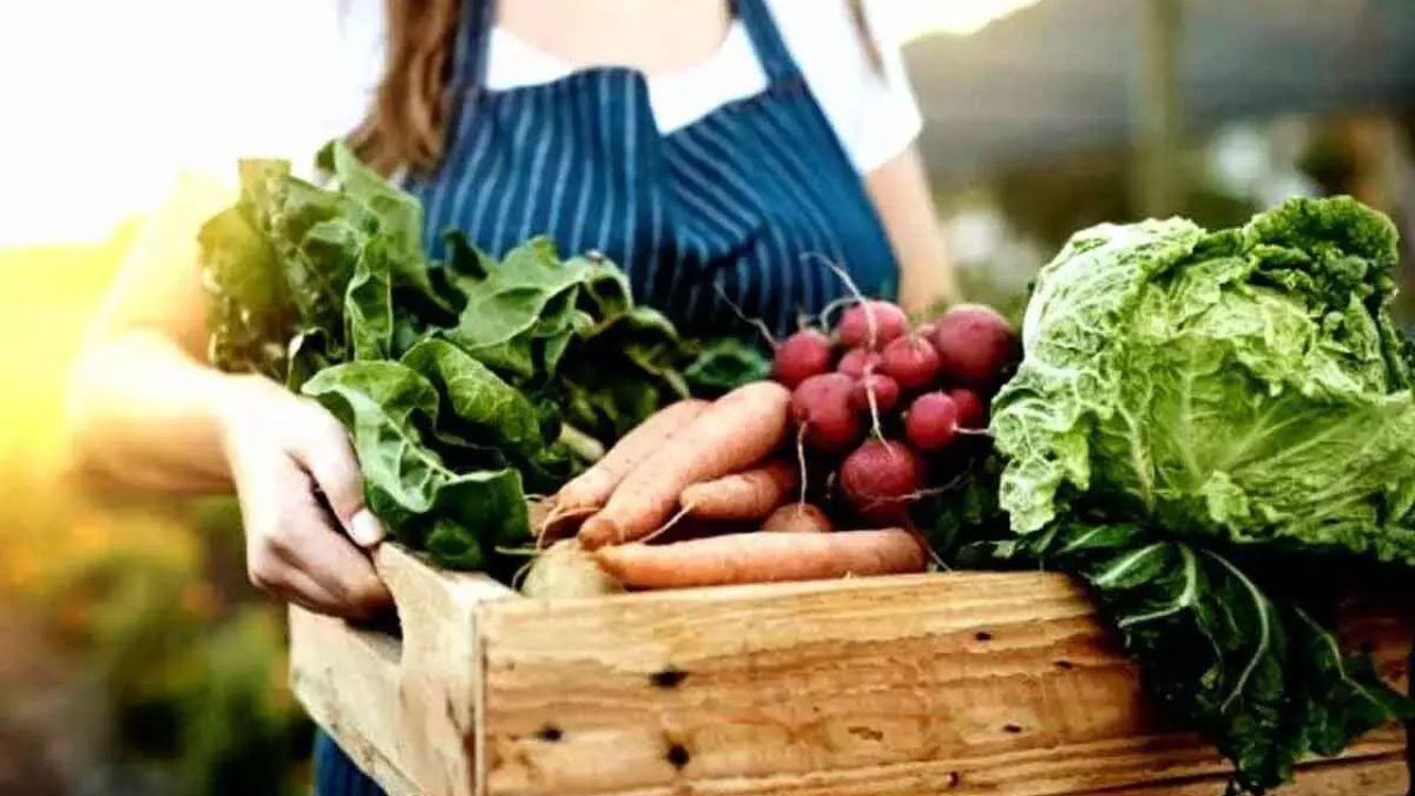 Social Media Video Strategies Boosting NZ Agri-Food Brand Visibility