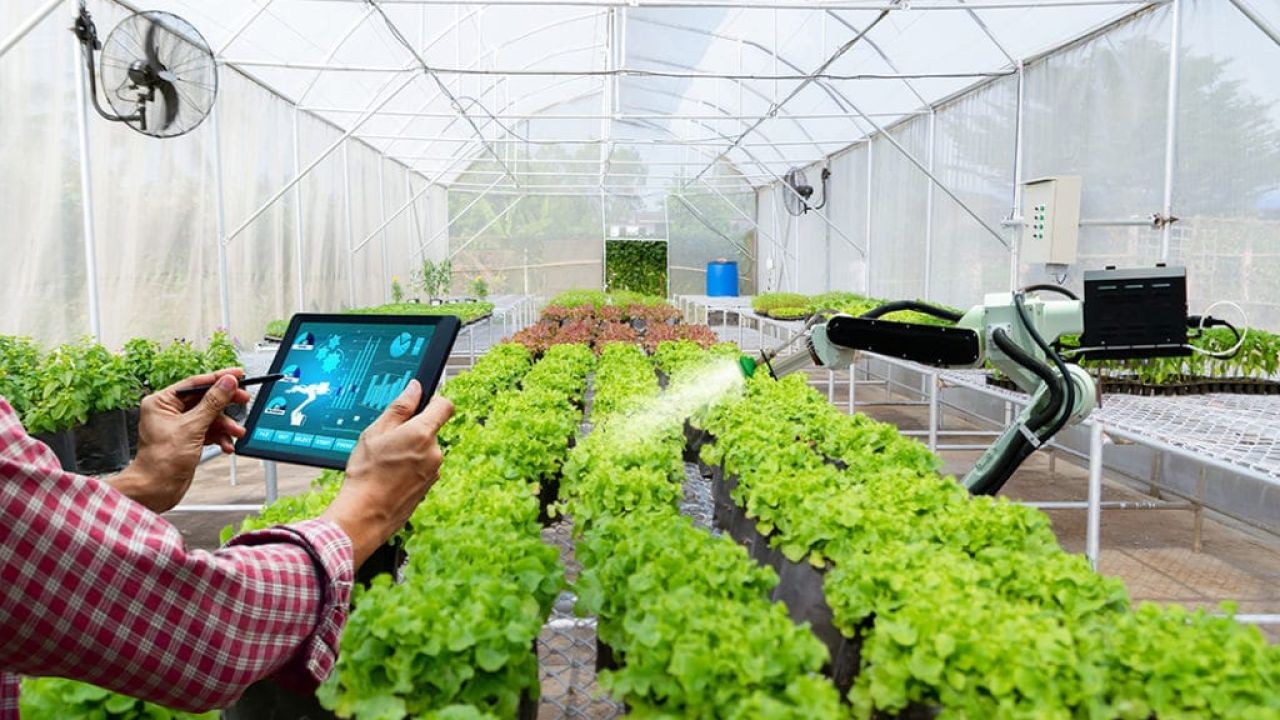 Agri-Tech Innovation Videos Showcasing the Latest NZ Farming Tools