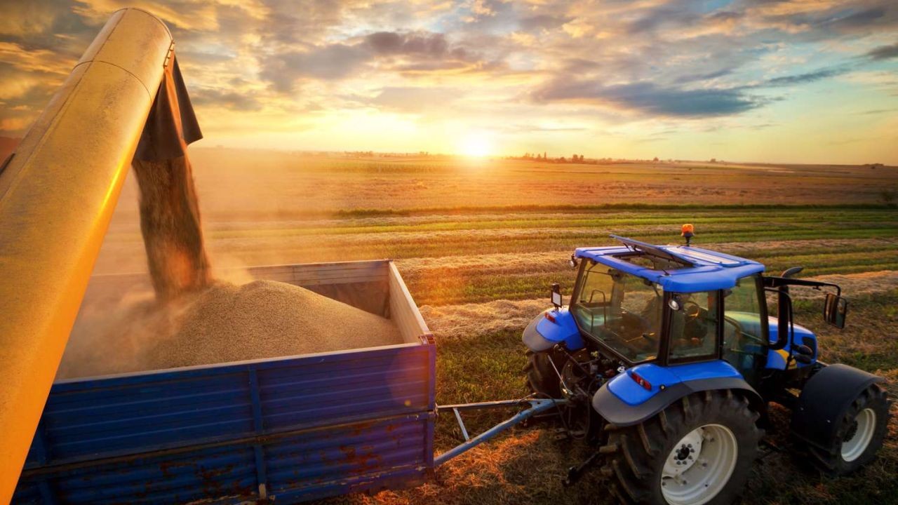 Crop Yield Optimization Video Guides for Kiwi Growers