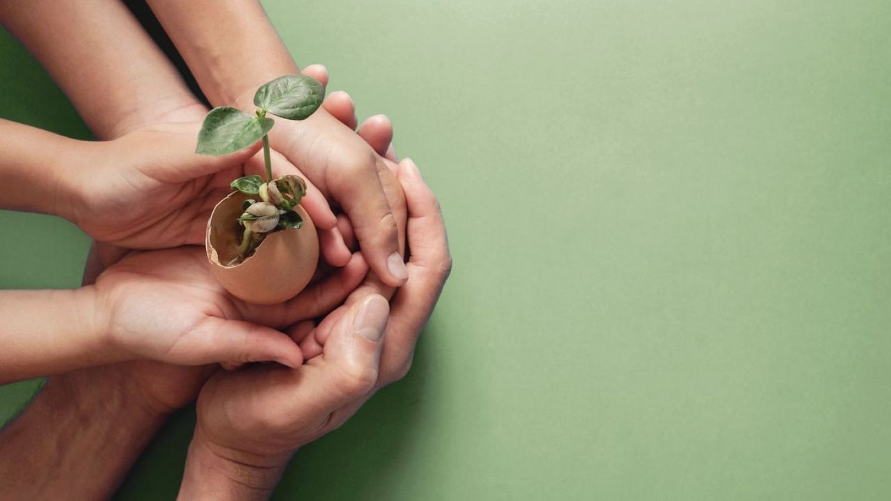 Social Responsibility Campaign Videos That Strengthen Community Bonds in Australia