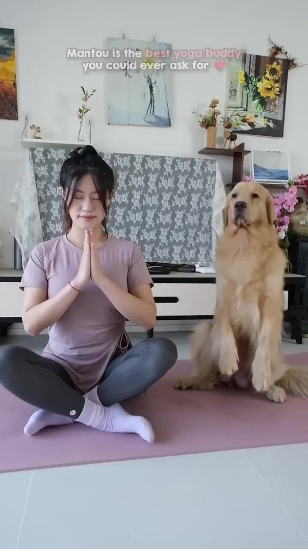 The Perfect Yoga Partner—Mantou! 😍🧘‍♂️