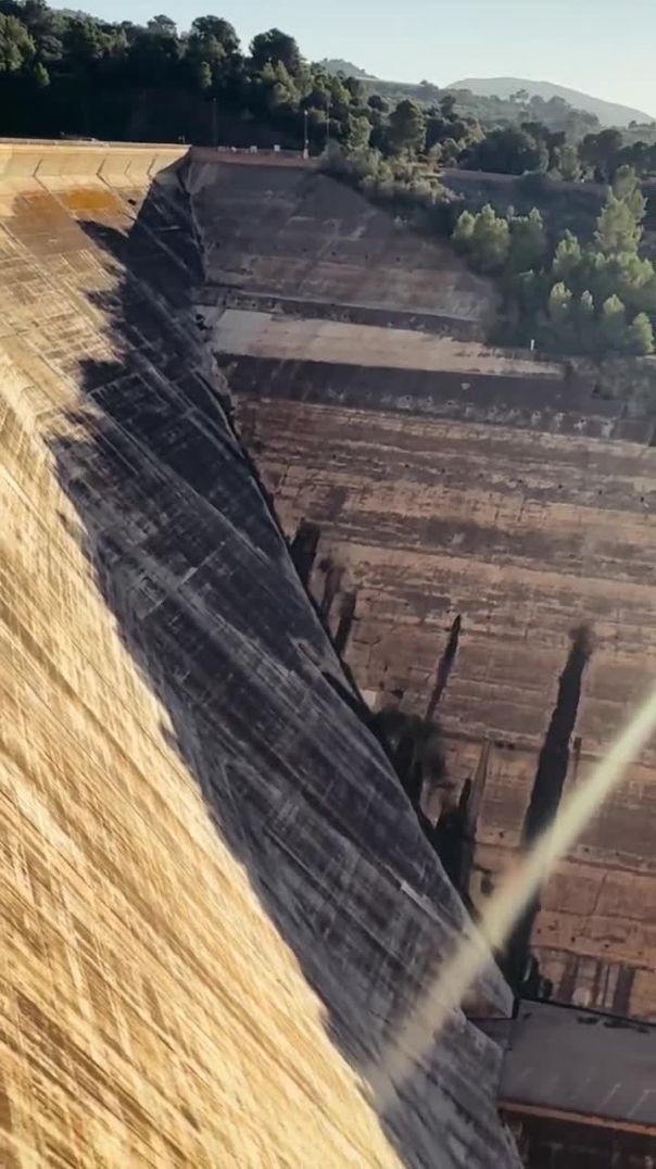 Where Did He Come From?! Unexpected Moment 😳