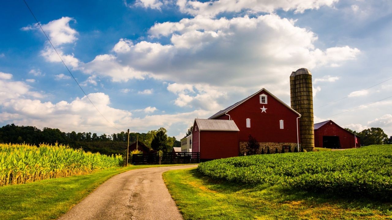 High-Impact Property Videos That Boost Listings Across New Zealand