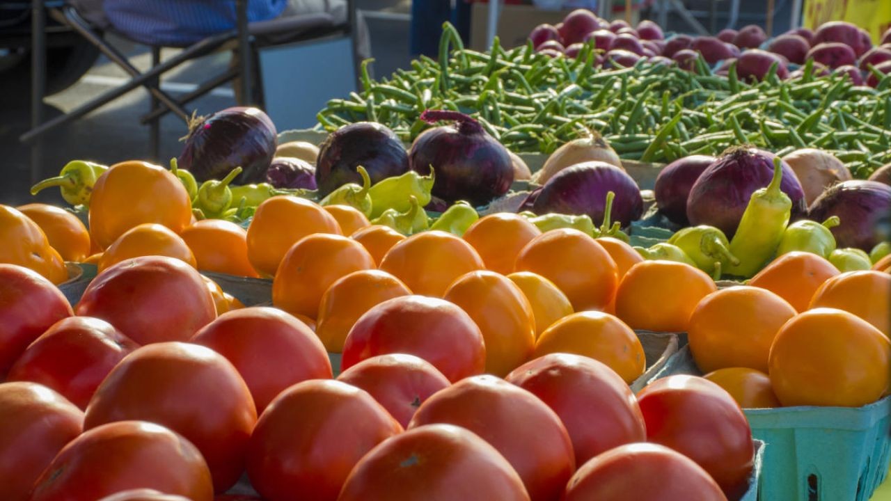 Agri-Food Supply Chain Transparency Videos Enhancing Consumer Confidence in Australia