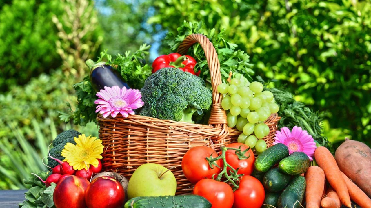 Agri-Food Export Promotion Videos Showcasing Australian Quality and Innovation