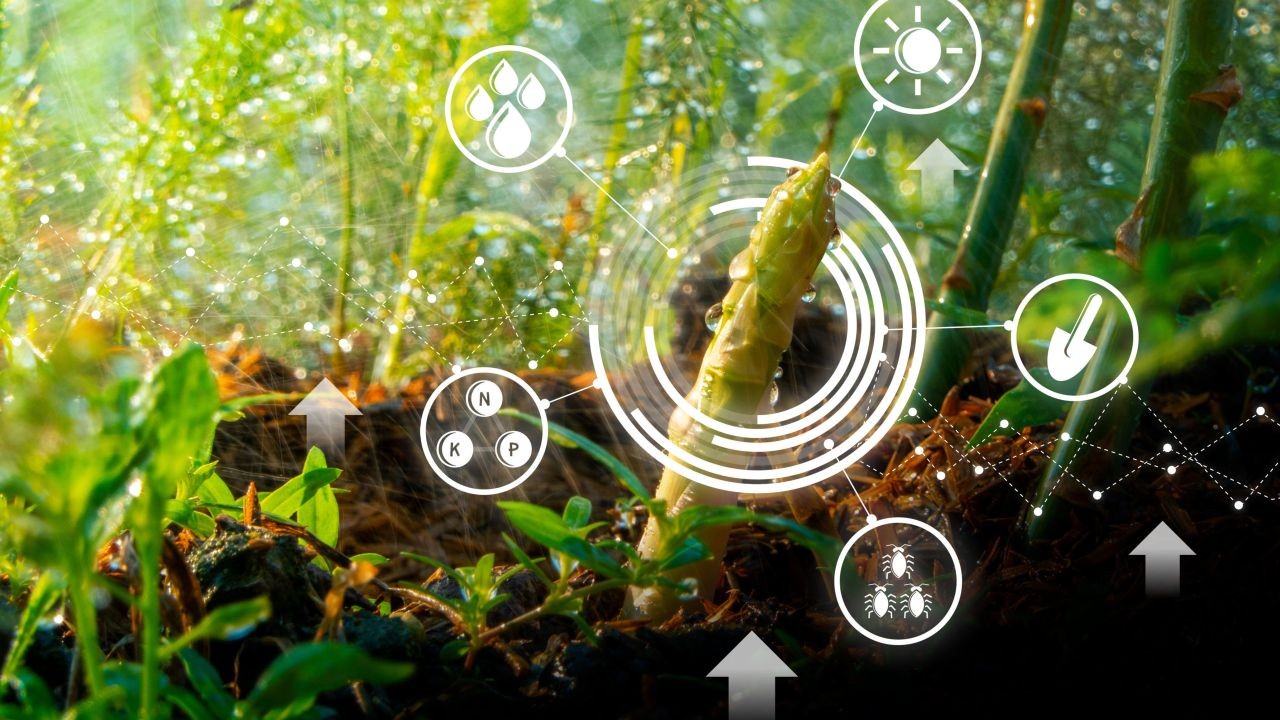 AgriTech Innovation Videos Highlighting Smart Farming Solutions in Australia