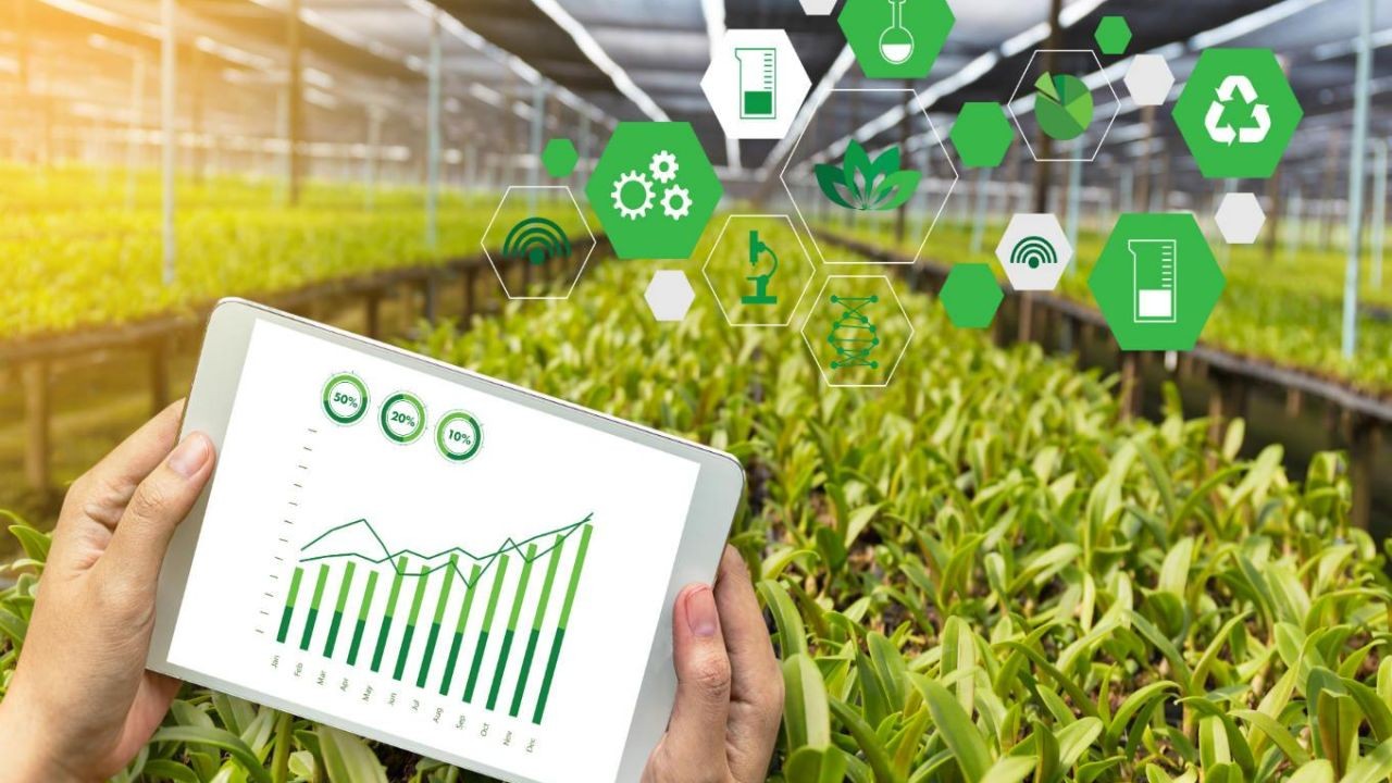 AgriTech Startup Video Stories Showcasing Australian Farming Innovations