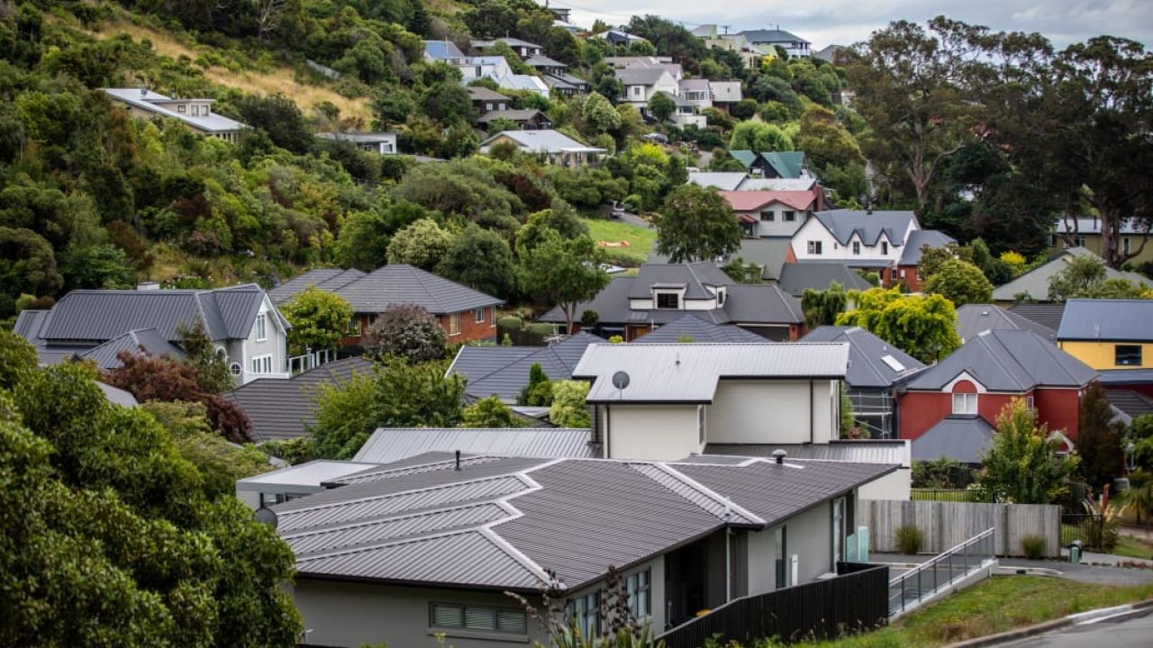 New Zealand Housing Data Insights That Help Buyers Understand Market Trends