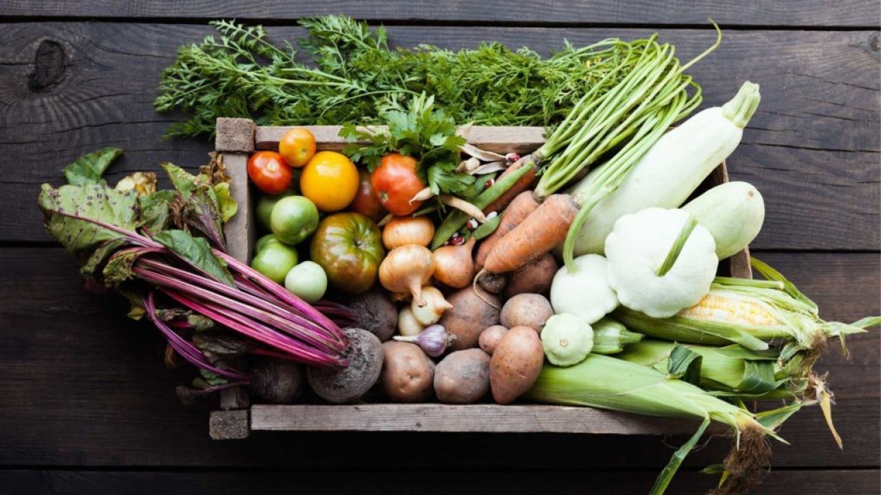 Video Documentaries on Australian Sustainable Agriculture Success Stories