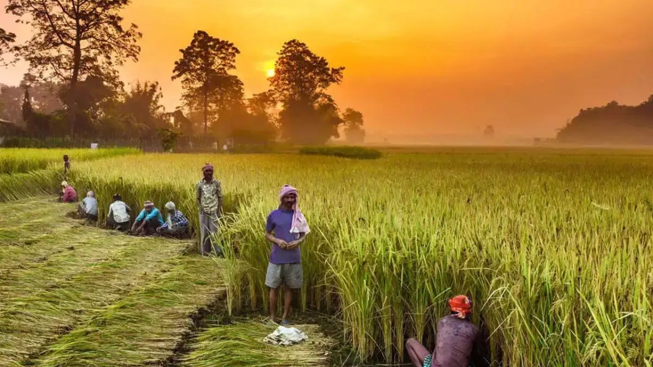 AgriTech Investment Videos Showcasing Growth Opportunities in the Aussie Market