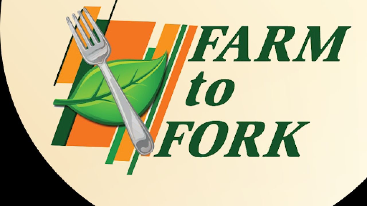 Farm-to-Fork Marketing Videos Connecting Producers and Buyers Across Australia